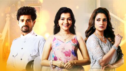 ‘लपंडाव’ मालिकेत येणार धमाकेदार ट्विस्ट; ‘ही’ प्रसिद्ध खलनायिका साकारणार डबल रोल