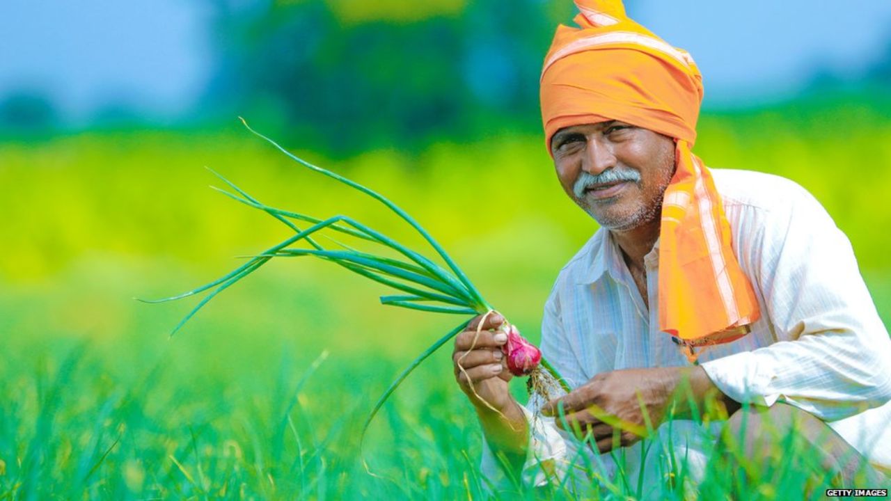 Maharashtra Farmer: राज्यातील शेतकऱ्यांना मिळाला दिलासा! ३७ टक्के सुधारीत पैसेवारी झाली जाहीर