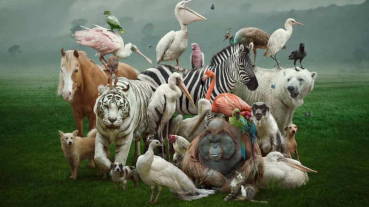 प्राणी-पक्ष्यांमध्ये ही क्रिया फक्त संरक्षणासाठी असते. त्याचा दु:ख, आनंद, वेदानेशी कोणत्याही संबंध नसतो आणि ही एक जैविक क्रिया आहे