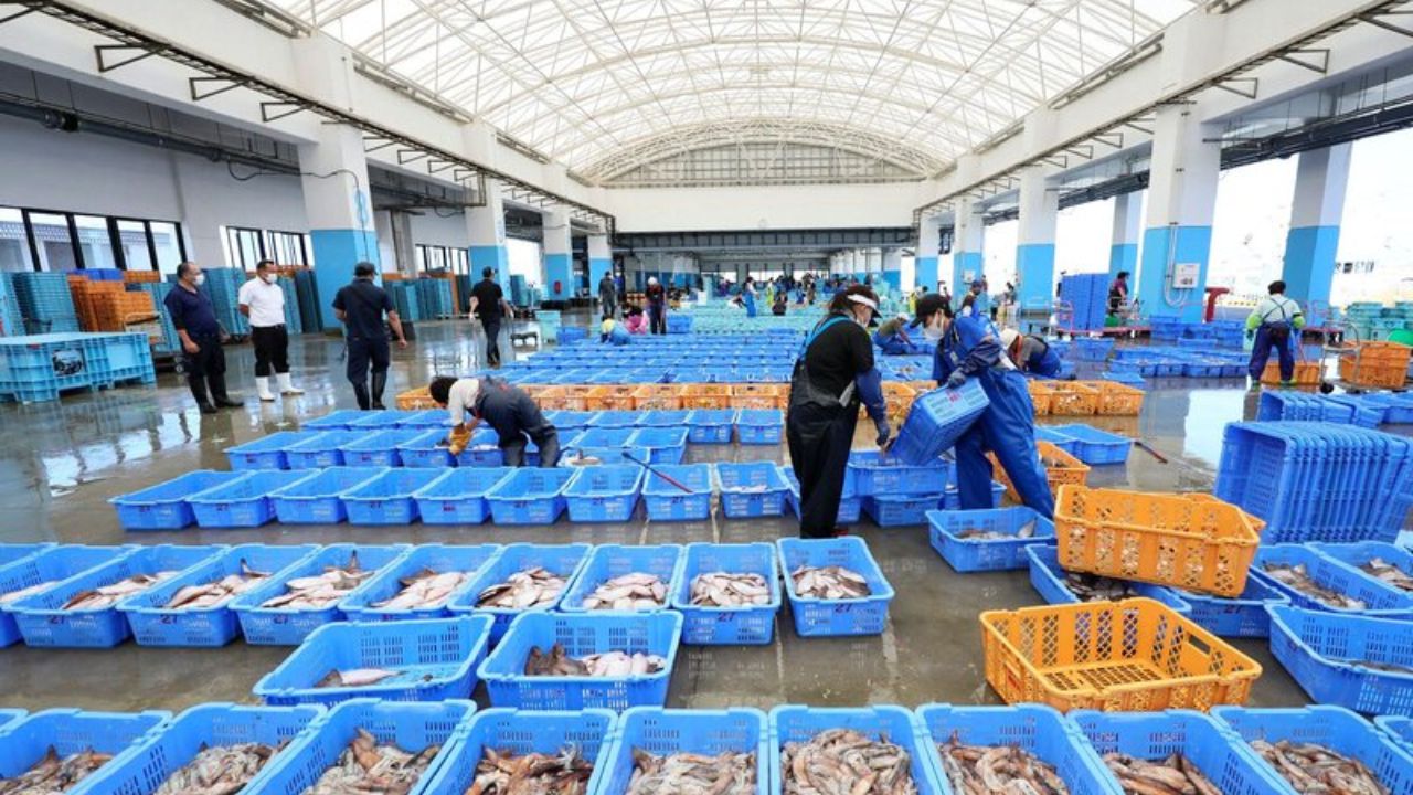 China Japan Crisis : ‘चीनने जपानला दिला मोठा धक्का…’आणि भारताची लागली लॉटरी; आता Trump tariffsचे टेन्शनही संपले