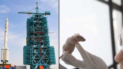 मांजरीच्या त्रासाला कंटाळून उंदीर निघाले चक्क अंतराळात! काय आहे चीनची महत्त्वाकांक्षी योजना? जाणून घ्या