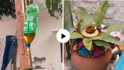 वाह क्या जुगाड है! ज्योत अखंड तेवत ठेवण्यासाठी असं काही डोकं लावलं की पाहून तुम्हीही चक्रावाल, Video Viral