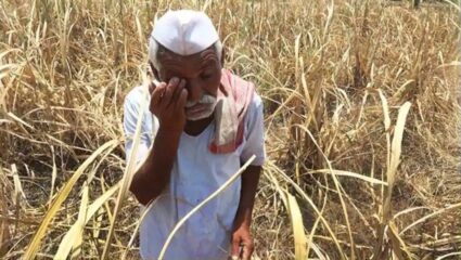 Farmers News: शेतकरी संकटात! जंगली हत्तींसह वाघांची दहशत; खरिपानंतर आता रब्बी हंगामही धोक्यात
