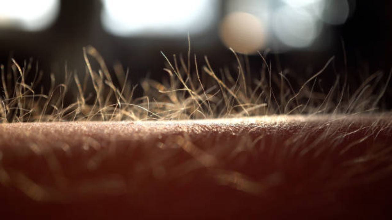 आपल्या शरिरात दिवसभरात अनेक बदल होत असतात. ज्यावर आपण कधी विचार देखील केला नसेल.