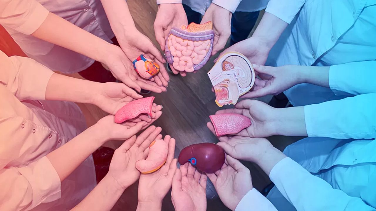 National Organ Donation Day : 8 लोकांचे प्राण वाचवू शकतो एक अवयवदाता; पहा कसे बनता येईल गरजूंसाठी जीवनदाता?