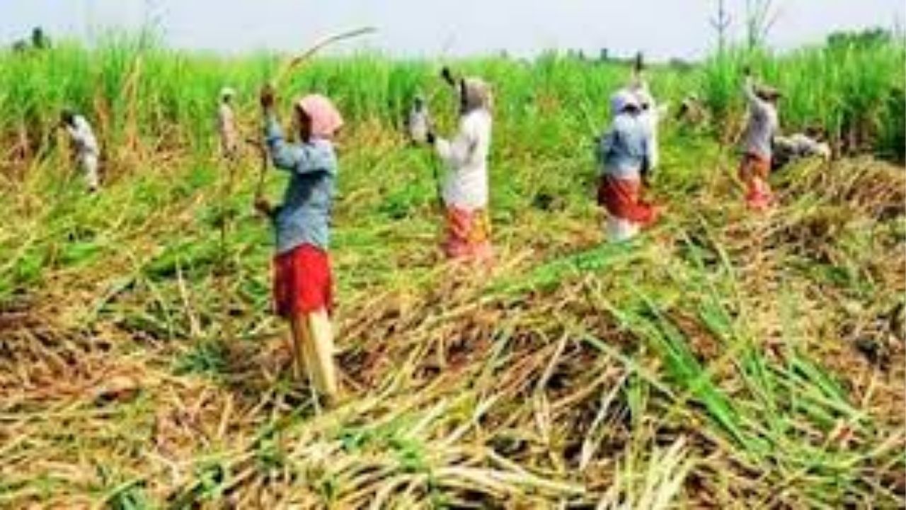 crime (फोटो सौजन्य: social media)