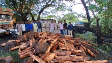 Palghar: वनसंपत्ती वाचवण्यासाठी वनविभागाचा ‘धडा’! डहाणूत अवैध खैर तोडीवर धडक कारवाई; दीड लाखांचा साठा जप्त