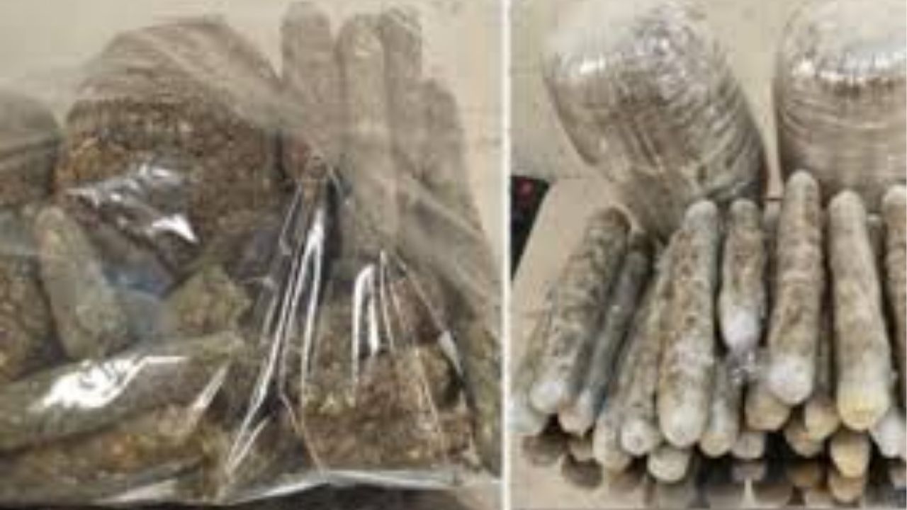 Mumbai: मुंबई विमानतळावर सीमाशुल्कची मोठी कारवाई! १३ कोटींचं ड्रग्स आणि ८७ लाखांचं परकीय चलनाचा मोठा साठा जप्त