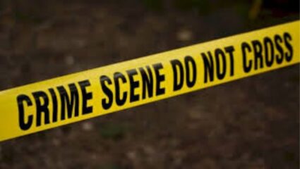 Hyderabad crime: विवाहबाह्य संबंधाच्या संशयावरून पतीचा संताप, क्रिकेटच्या बॅटने पत्नीच्या डोक्यावर वार करून केली हत्या