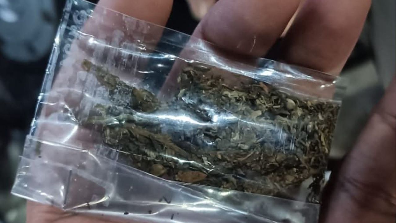 Pune Crime: येरवड्यात उघडपणे गांजा, दारू, वेश्या व्यवसाय, पुणे ठरतेय गुन्हेगारीचे केंद्र, पोलीस नक्की करतायत काय?