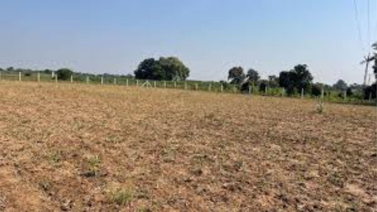 Pune Crime: पुण्यानंतर आता पालघरमध्ये पण जागेची विक्री ७ कोटीची जमीन विकली ७० लाखात