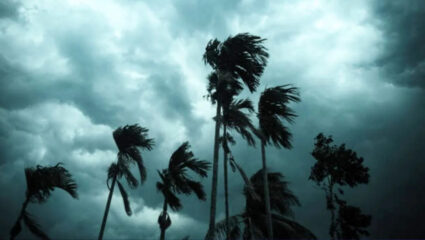 Maharashtra Rain Alert: दारं खिडक्या लावून घ्या! राज्यावर येणार भलंमोठं संकट; IMD चा इशारा काय सांगतो?