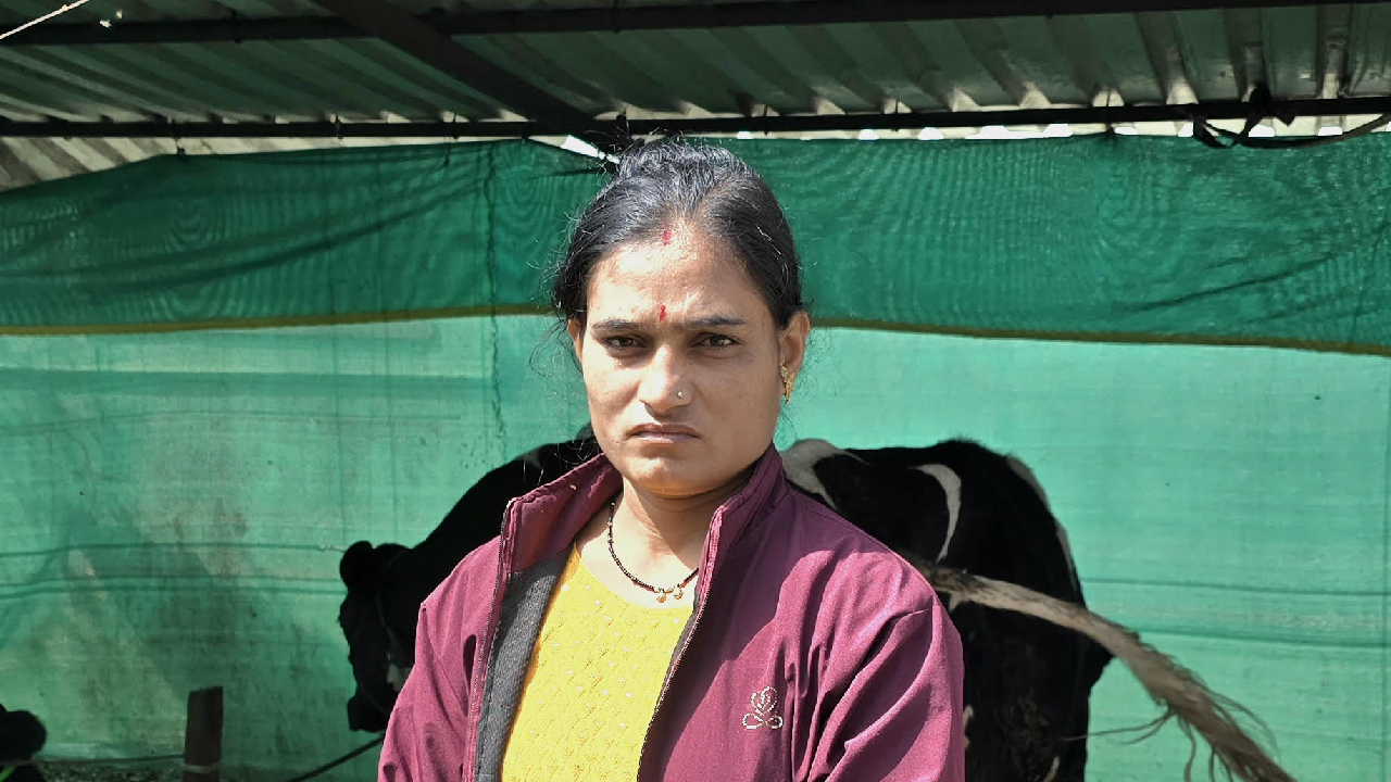 Pune Leopard Attack: दैव बलवत्तर! दबा धरून बसलेल्या बिबट्याने थेट…; पारगावमध्ये महिलेसोबत घडले काय?