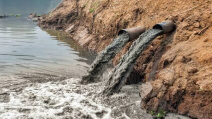 Ratnagiri News: नदीपात्रात रासायनिक पाणी सोडणे महागात पडणार; ८ उद्योगांवर कारवाई न झाल्यास…