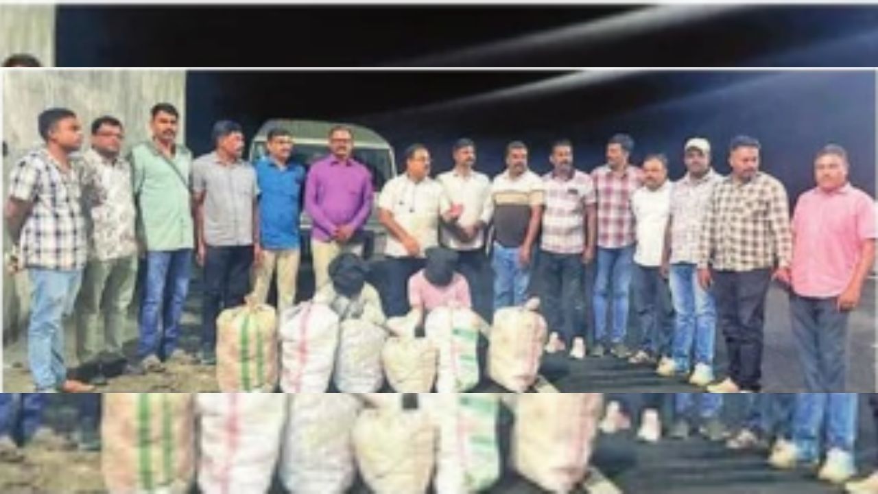 Amravati Crime: २ तस्कर जेरबंद, १०४ किलो गांजा जप्त; ओडिशाच्या गांजातस्करीचा पर्दाफाश
