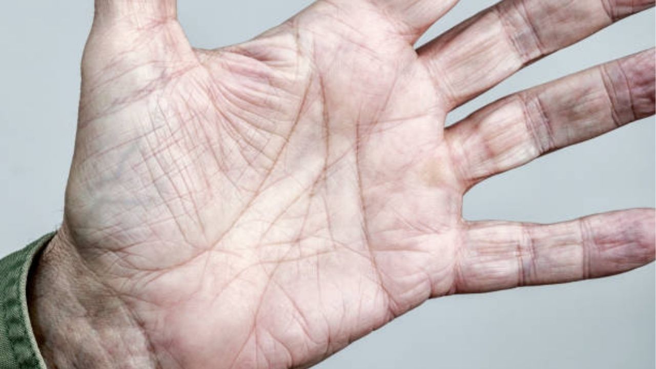Palmistry: तळव्यावरुन समजते व्यक्तीचा स्वभाव आणि व्यक्तिमत्व, काय सांगते हस्तरेखाशास्त्र जाणून घ्या