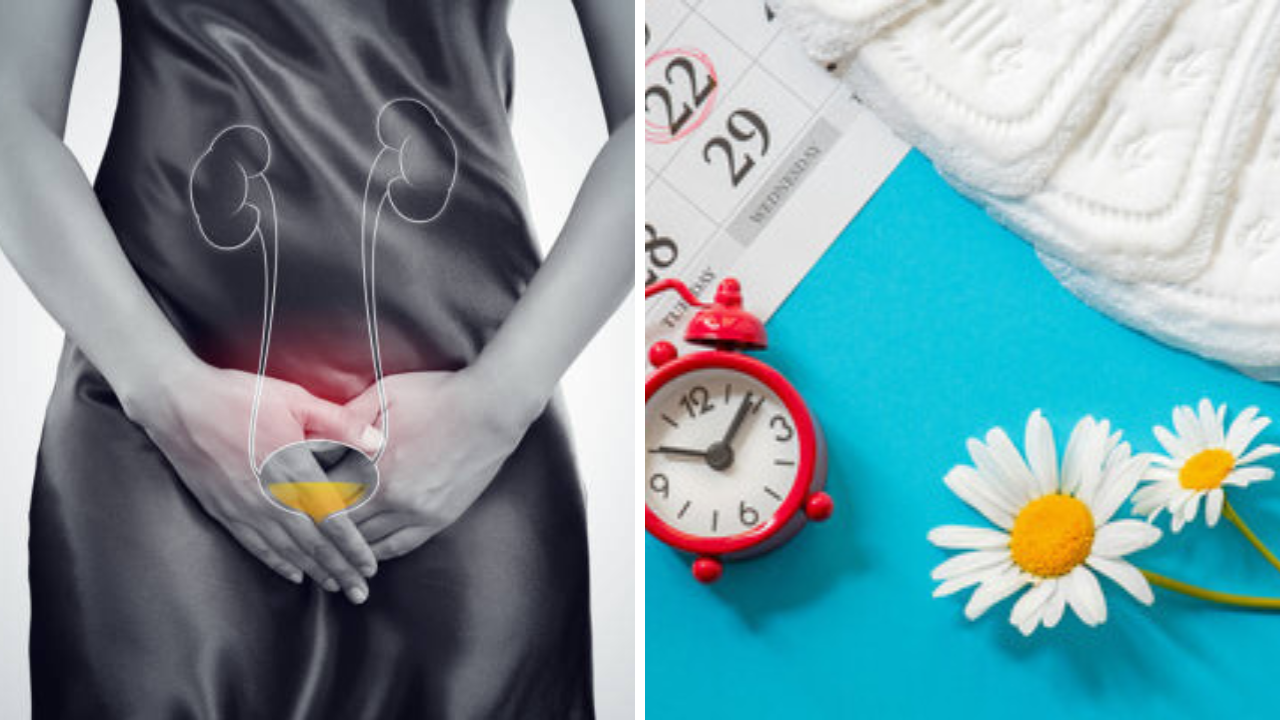 UTI की फक्त मासिक पाळीत होणारे बदल? मासिक पाळीदरम्यान वारंवार लघवी का होते, जाणून घ्या