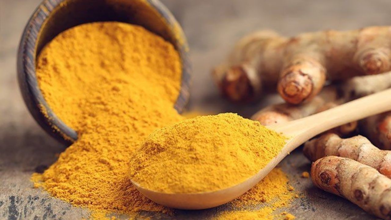 Vastu Tips: तुमच्या घरामध्ये तणाव आणि संघर्ष वाढत असल्यास करा वास्तूचे ‘हे’ उपाय