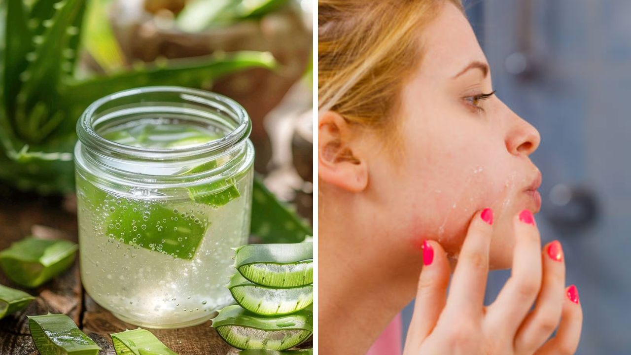 हिवाळ्यात भासणार नाही महागड्या स्किन केअर प्रॉडक्टची गरज, ‘या’ पद्धतीने चेहऱ्यावर लावा कोरफड जेल