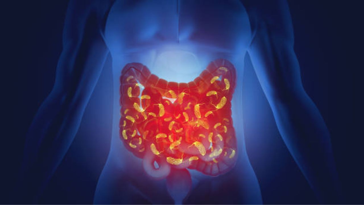 ‘या’ पदार्थांच्या सेवनामुळे पोटात वाढते तीव्र उष्णता, पोटदुखी वाढून आम्लपित्तमुळे पोहचेल शरीराला हानी