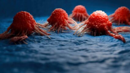 जीवघेण्या कॅन्सरपासून राहा चार हात लांब! Stanford डॉक्टरांनी सांगितलेल्या ‘या’ पदार्थांचे नियमित सेवन केल्यास शरीराला होतील फायदे