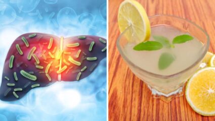 लिव्हर कुजल्यानंतर शरीरात दिसून येतात ‘ही’ महाभयंकर लक्षणे, आचार्य बालकृष्णांनी सांगितलेले घरगुती उपाय लिव्हरसाठी ठरतील प्रभावी