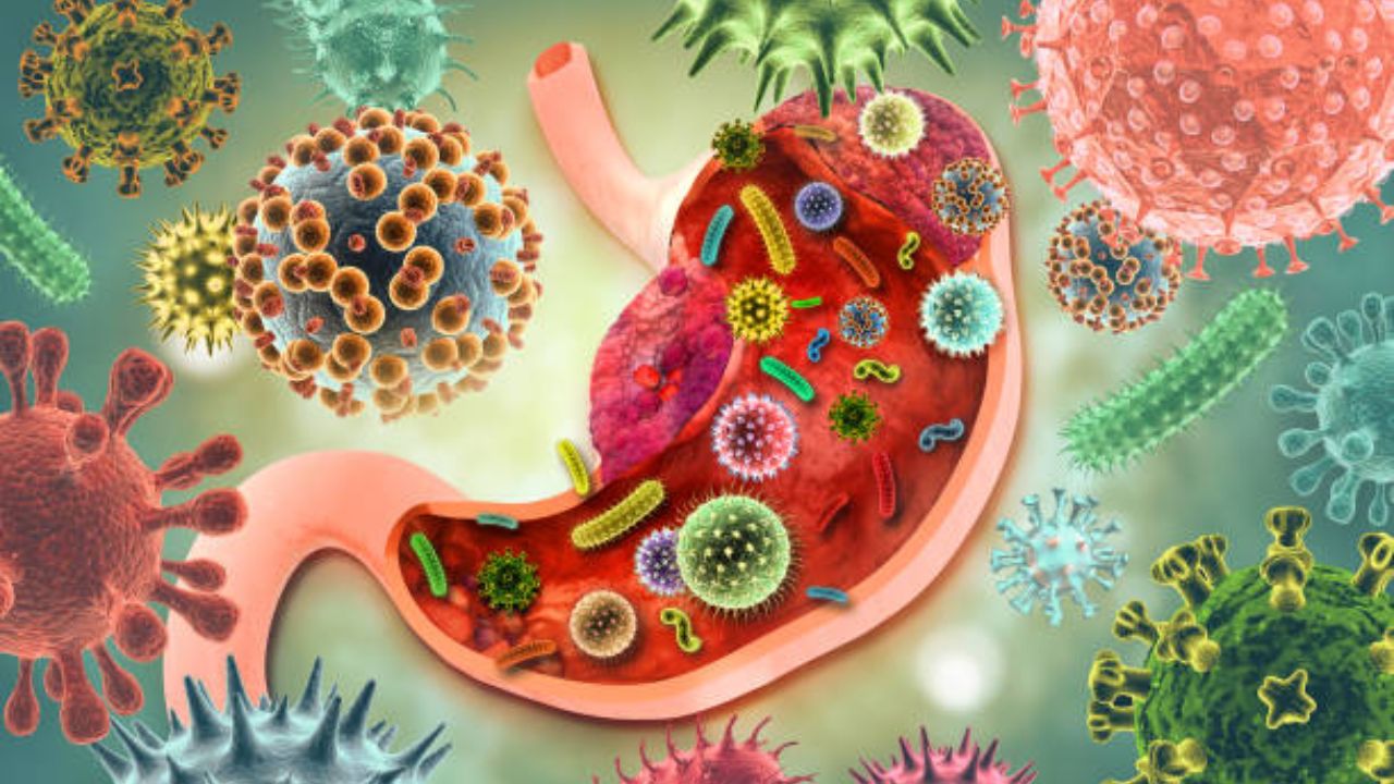 आतड्यांना बसलेला पीळ सुटून मुळापासून स्वच्छ होईल घाण! पचनशक्ती वाढवण्यासाठी आहारात करा ‘या’ शक्तिशाली पदार्थांचा समावेश