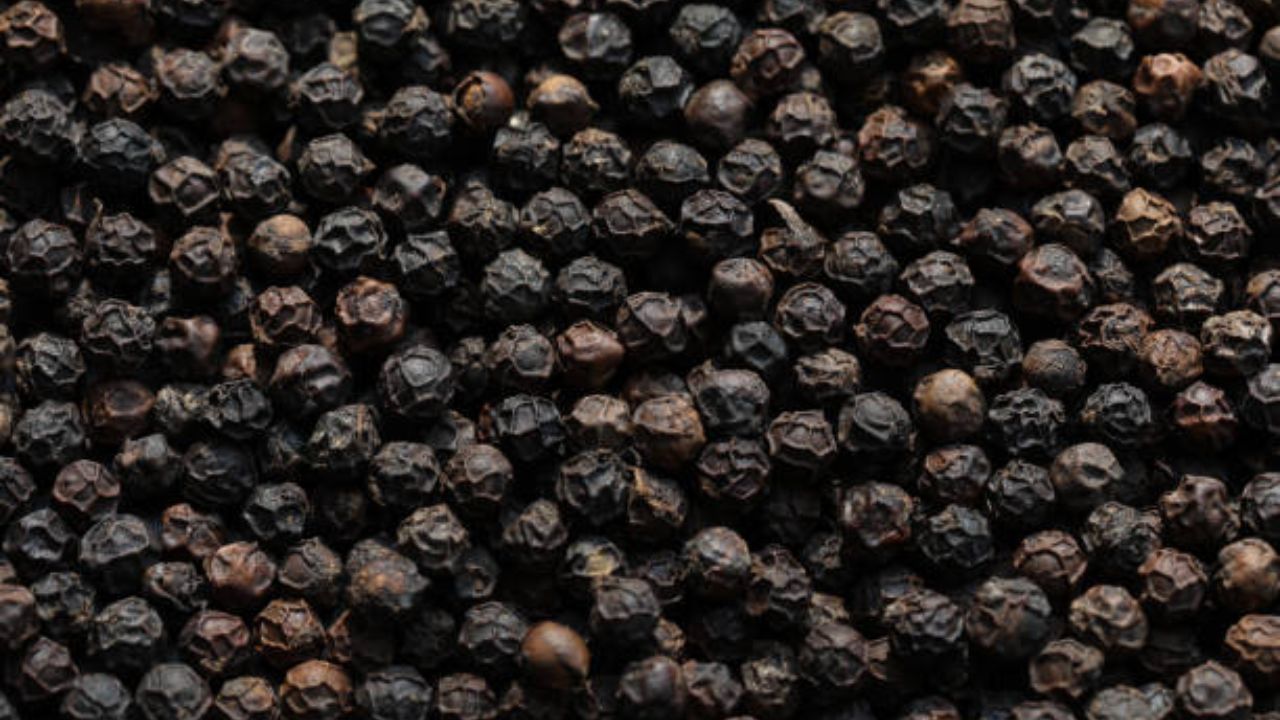 शरीरातील श्लेष्मा बाहेर काढून टाकण्यासाठी काळीमीरीचे सेवन करावे. एक चमचा मधात काळीमिरी पावडर मिक्स करून चाटण खाल्ल्यास शरीराला भरमसाट फायदे होतील. प्रदूषित हवेच्या दीर्घकाळ संपर्कात राहिल्यानंतर छातीत जळजळ वाढते. ही जळजळ कमी करण्यासाठी काळीमीरीचे सेवन करावे.