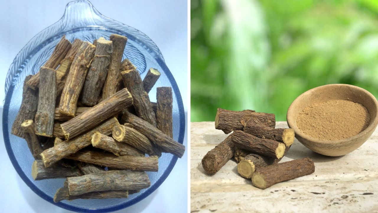 खोकल्यापासून आराम मिळवण्यासाठी जेष्ठमधाचे सेवन करावे. आयुर्वेदिक गुणधर्मांनी समृद्ध असलेले जेष्ठमध शरीरातील घाण बाहेर काढून टाकण्यासाठी मदत करते.