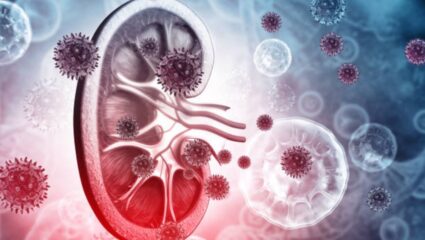 सकाळी उठल्यानंतर शरीरात दिसणाऱ्या ‘या’ लक्षणांकडे अजिबात करू नका दुर्लक्ष, किडनी खराब होऊन कोणत्याही क्षणी होईल मृत्यू