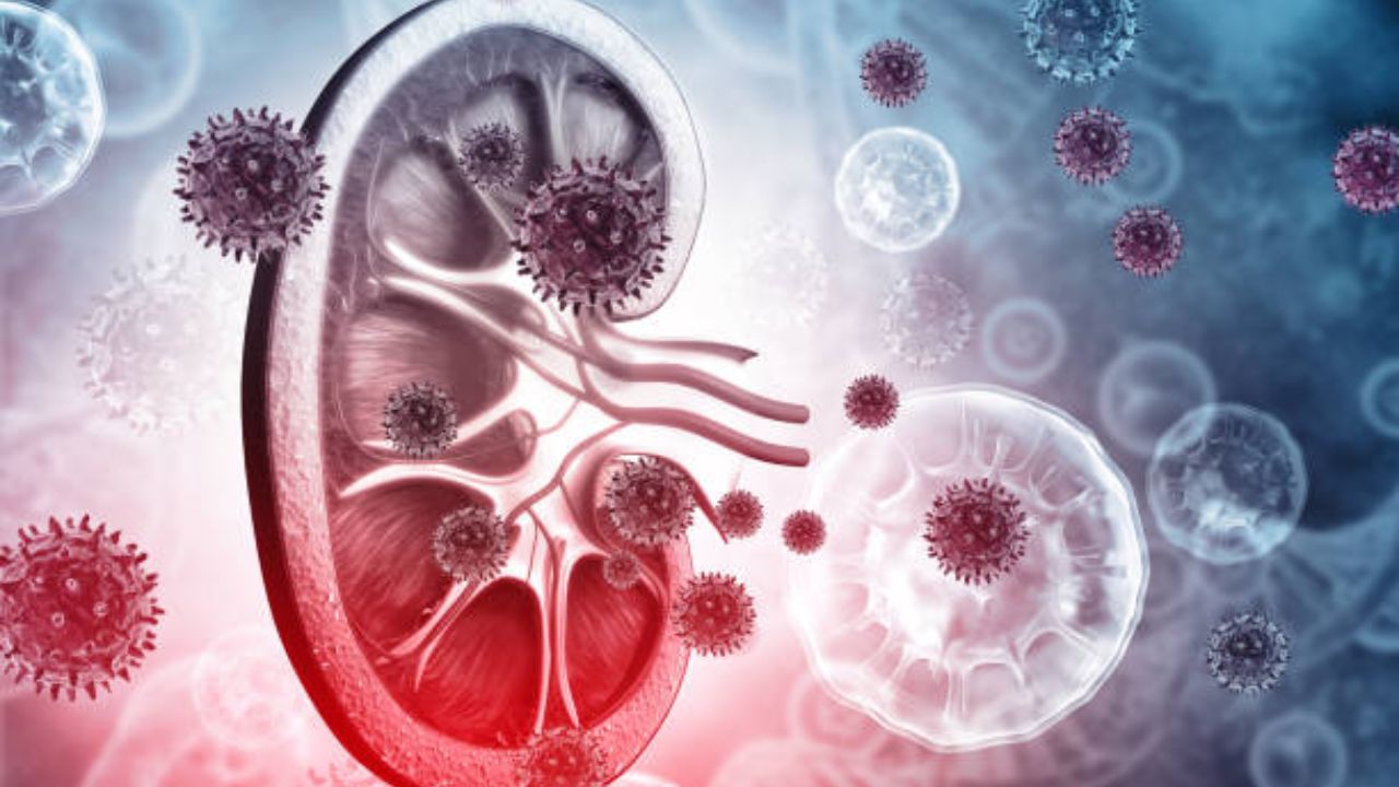 सकाळी उठल्यानंतर शरीरात दिसणाऱ्या ‘या’ लक्षणांकडे अजिबात करू नका दुर्लक्ष, किडनी खराब होऊन कोणत्याही क्षणी होईल मृत्यू