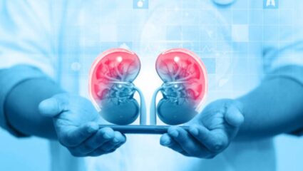 हिवाळ्यात का  वाढतो किडनी स्टोनचा त्रास? लघवीमध्ये दिसणाऱ्या ‘या’ लक्षणांकडे अजिबात करू नका दुर्लक्ष, वेळीच घ्या काळजी