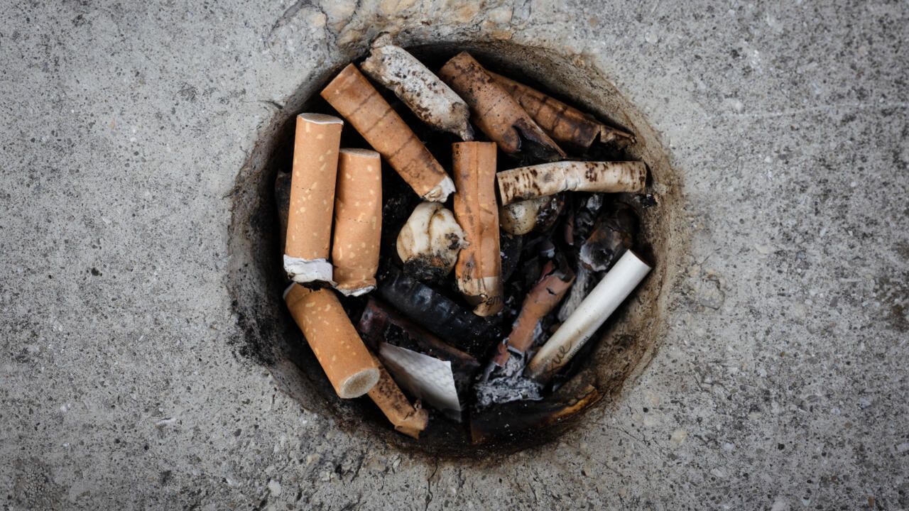 सिगारेटबाबत येथील सरकारने केले कठोर नियम; नियमांचे उल्लंघन केल्यास थेट लाखोंचा दंड