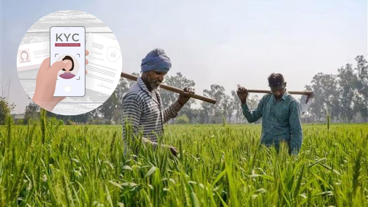 Farmers E-KYC News: शेतकऱ्यांचे ई-केवायसीकडे दुर्लक्ष; मराठवाड्यात ६.७८ लाख शेतकरी बाकी