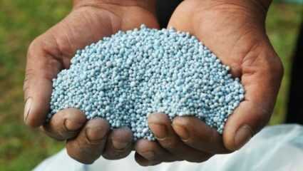 Farmers News: ‘दुष्काळात तेरावा महिना’! आधी अतिवृष्टी, त्यात खत दरवाढीने शेतकऱ्यांचे मोडले कंबरडे