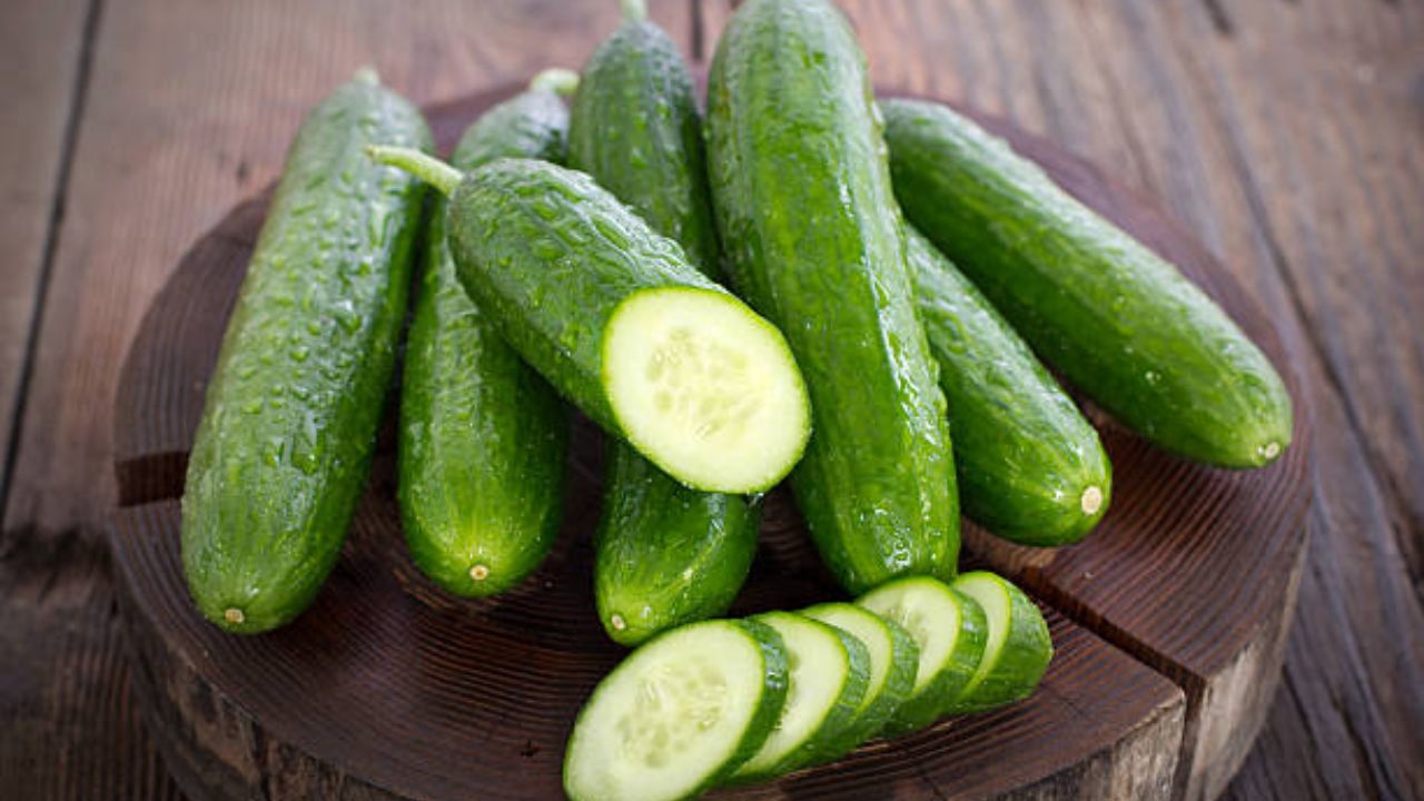 काकडीमध्ये भरपूर प्रमाणात पाणी असते. यामुळे शरीरातील विषारी घटक सहज बाहेर पडून जातात. रोजच्या आहारात नियमित काकडीचे सेवन केल्यास शरीरातील विषारी घटक बाहेर पडून जातील. 