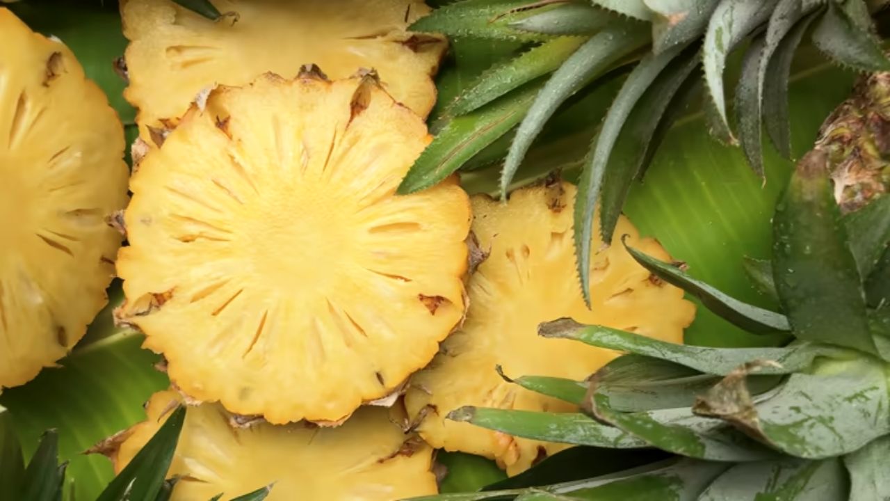 अननसामध्ये ब्रोमेलेन आणि आम्ल असे दोन्ही घटक आढळून येतात. यामुळे पचनक्रिया सुधारते. पण आम्लपित्त, छातीत जळजळ किंवा वारंवार पोटदुखी इत्यादी समस्यांनी त्रस्त असलेल्या लोकांनी अननस अजिबात खाऊ नये. यामुळे पोटाच्या आतील स्थर अधिक सक्रिय होऊन छातीमध्ये जळजळ, पोटदुखी, मळमळ किंवा गॅसची समस्या वाढू शकते.