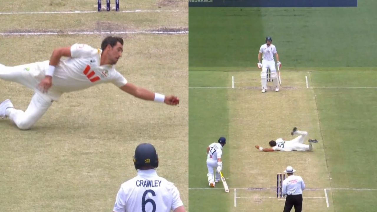 AUS vs ENG : उडता Mitchell Starc…एका हाताने एक जबरदस्त झेल! हा फलंदाज संपूर्ण सामन्यात राहिला नाबाद