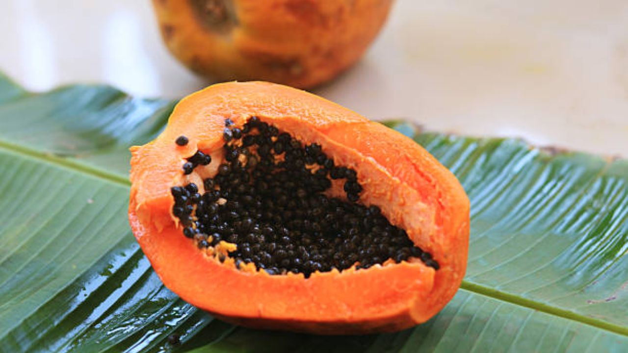 बिघडलेली पचनक्रिया सुधरण्यासाठी पपई वरदान ठरेल. गॅस, बद्धकोष्ठता, अपचन, ऍसिडिटी इत्यादी सर्वच समस्यांपासून आराम मिळवण्यासाठी पपई खाण्याचा सल्ला दिला जातो.
