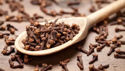 Soaked Cloves Benefits: सकाळी उठल्यानंतर नियमित करा भिजवलेल्या लवंगचे सेवन! गंभीर आजारांपासून मिळेल कायमची सुटका