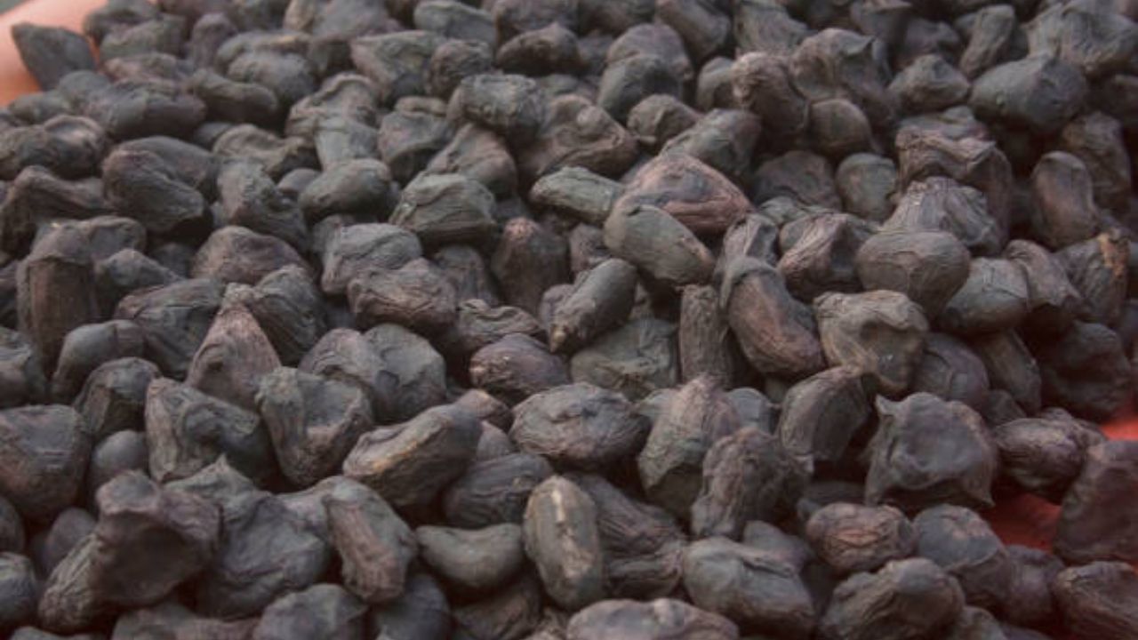 शिंगाड्यामध्ये कॅल्शिअमचे प्रमाण खूप जास्त असते. दातांमध्ये वाढलेल्या वेदना आणि हाडांच्या निरोगी आरोग्यासाठी शिंगाडा खावा. यामुळे दात आणि हाडे मजबूत राहतात.