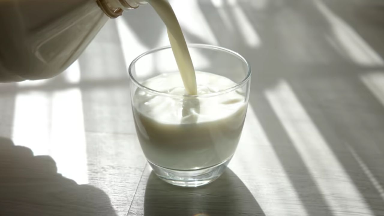 शरीरात निर्माण झालेला थकवा, अशक्तपणा दूर करण्यासाठी एक ग्लास दुधात तूप मिक्स करून प्यावे. यामुळे शरीरात ऊर्जा निर्माण होतो आणि थकवा दूर होतो. 