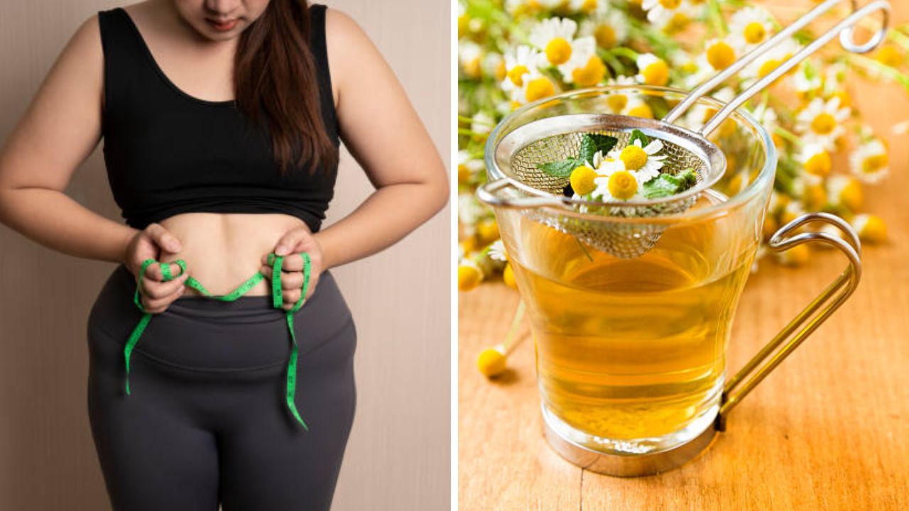 ‘या’ पेयांच्या नियमित सेवनामुळे पोटावर वाढलेला चरबीचा घेर झपाट्याने होईल कमी, दिसाल स्लिम आणि फिट