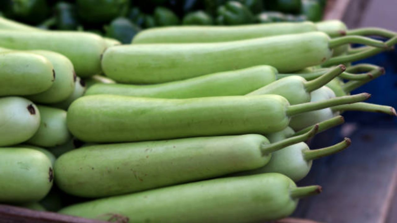 दुधी भोपळ्याचा रस प्यायल्यामुळे शरीराला अनेक फायदे होतात. या भाजीमध्ये भरपूर पाणी असते, ज्यामुळे भाजी बनवताना खूप कमी प्रमाणात तेल लागते. दुधीच्या भाजीचे सेवन केल्यामुळे पचनक्रिया सुधारते, पोटात थंडावा टिकून राहतो.