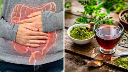 नियमित एक कप मोरिंगा चहाचे सेवन केल्यास शरीरात दिसून येतील बदल, आरोग्याला होतील आश्चर्यकारक फायदे