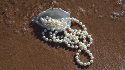 “रत्नांची राणी” म्हणून ओळखले जाणारे मोती जगभरात आहेत प्रसिद्ध! जाणून घ्या जगातील जुन्या रत्नांबद्दलचा रंजक इतिहास