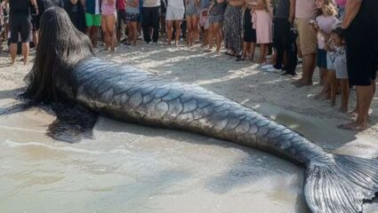 Viral: दुबईच्या समुद्रकिनारी चक्क ‘जलपरी’ दिसली? फोटो व्हायरल होताच इंटरनेटवर खळबळ, ‘हे’ दृश्य पाहून तुम्हीही व्हाल थक्क!