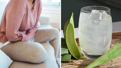 मासिक पाळीत पोटात वाढलेल्या असह्य वेदनांपासून आराम मिळवण्यासाठी ‘या’ पद्धतीने करा कोरफडचे सेवन, शरीराला होतील फायदे