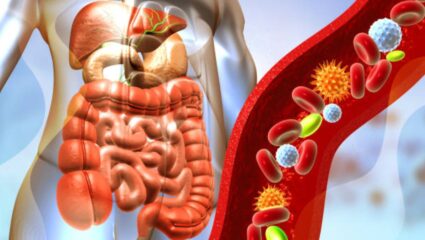 आतड्यांमधील घाण बाहेर काढून टाकण्यासाठी प्रेमानंद महाराजांचा ‘हा’ उपाय ठरेल प्रभावी, जुनाट बद्धकोष्ठतेपासून मिळेल कायमची सुटका
