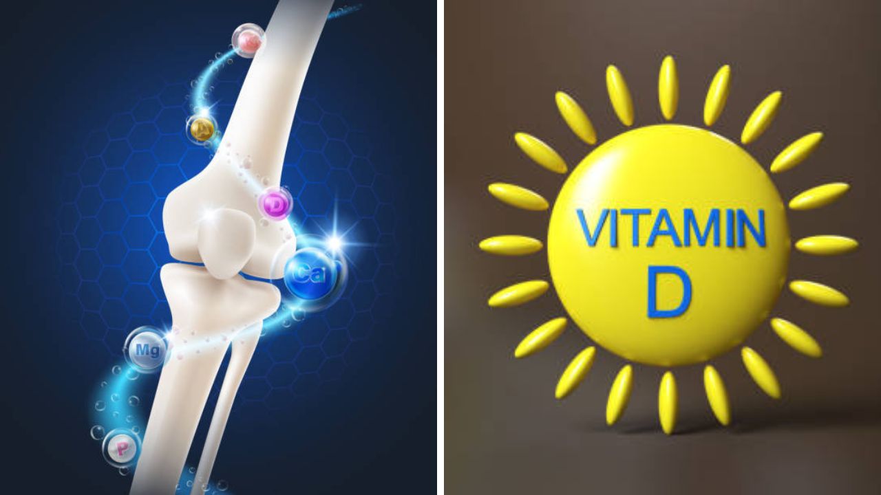 तरुण वयात होईल हाडांचा सांगाडा! Vitamin D ची कमतरता भरून काढण्यासाठी नियमित खा ‘हे’ पदार्थ, हाडांमध्ये वाढेल ताकद